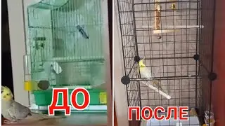 🦜Вольер для папугая🦜