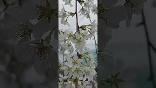 Долгожданная весна🌸🌸🌸