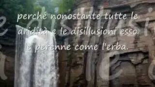 Desiderata
