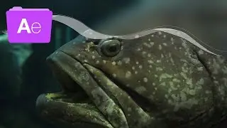 Undersea World After Effects Project