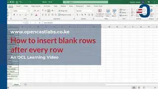 How to insert row after every Nth row in Excel
