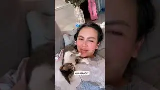 Anak Siapa Nih?? #catlover #cat #indonesia