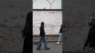 Unexpected encounter 👀🎧 