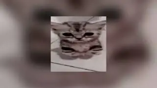 масло чёрного тмина - незаметно (speed up)