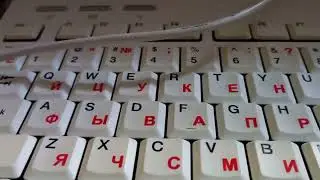 2 октября 2024 г.