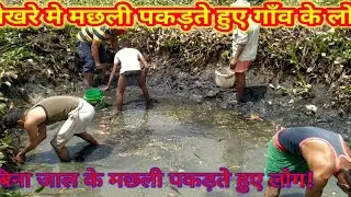 गाँव के लोग बिना जाल के मछली कैसे पकड़ते है🤔Fish catching by village people#fishcatchingbyhand!!