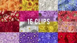Floating Flowers Background - 16 Clips