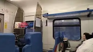 Перегон Манушкино — Павлово-на-Неве из окна пригородного поезда