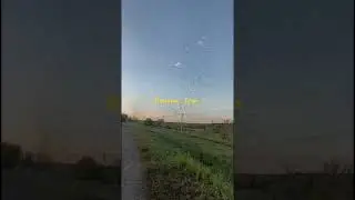 #оренбург  комары . камероозерное