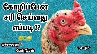 கோழிப்பேன் சரி செய்வது எப்படி | how to cure hen ticks | தமிழில் #petsfoldertamil #ticks #cure #tamil