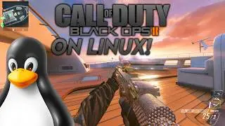 How to INSTALL COD BLACK OPS 2/PLUTONIUM on Linux!