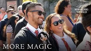 Fantastic Beasts | Cast Q&A at Fan First Screenings