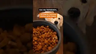 Нет таких задач, которые мы не смогл бы решить. 
