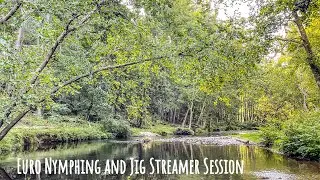 Euro Nymphing and Jig Streamer Session