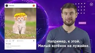 Как личное мнение становится оскорблением в сети