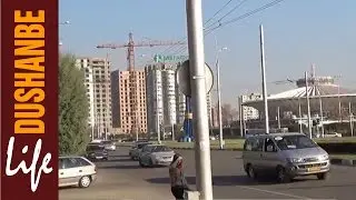 Душанбинский Цирк, дворец Профссоюзов, пр. A. Сино, пр. Шерози, Гулистон