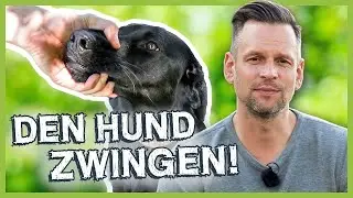 How important is FORCE in dog training