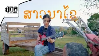 ສາວນາໄຊຍັງຄອຍ | สาวนาไชยังคอย 【MAY UNA】