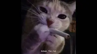 кино - видели ночь | slowed and reverb