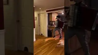 Dogs and Accordions 