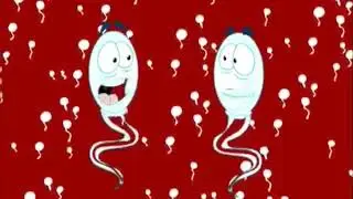 Carrera de espermatozoides imperdible