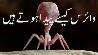 Evolution of Virus in Urdu / Hindi | Virus Ka Irtiqa | Biology | Evolution | Virology | Ej Axism