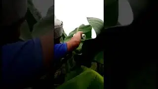 Salam Satu Getah