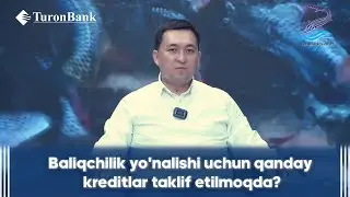 Baliqchilik biznesiga ajratilayotgan kreditlar!