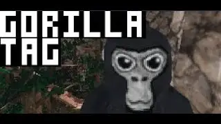 Gorilla Tag VR!