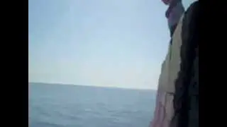 Отдыхаем  в Сочи