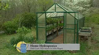 Home Hydroponic System; A Low Maintenance System for Growing Food