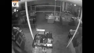 Camera 8: 11/5/2024 (12:02:05 AM Start)