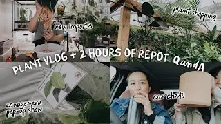 a very planty filled day + 2 hours of repotting with Q&A!