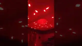синтия