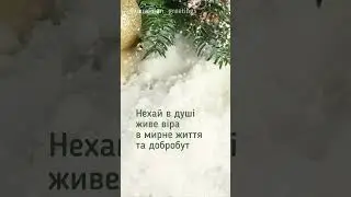 Привітання з Новим 2024 роком!!! short shorts #short #shorts
