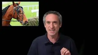 מחשבות על חינוך - למידה מקוונת - המודל הפשוט