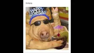 Blackdance - Dishpig