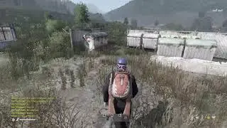 🔥dayz🔥 ვიმაიმუნოთ #დღე1 🔥