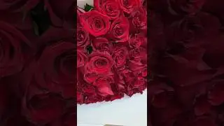 51 РОЗА от щедрого заказчика..😻 #flowers #упаковка #rose #флористика #bouquet