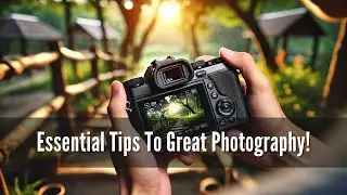 Essential Tips To Great Photography!!