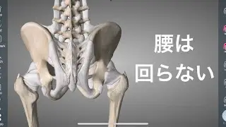 体幹の捻りは腰じゃない！動きを解説してみた