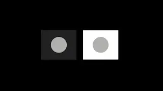 BEAU LOTTO: Context is Everything - Dot Segment