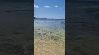 This is Thailand! Crystal Beach, Koh Samui #shorts