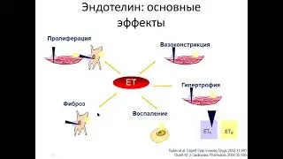 Легочная гипертензия