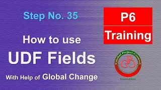 🔴 How to Use the User-Defined Fields (UDFs) with the help of Global Change (GC) in Primavera P6