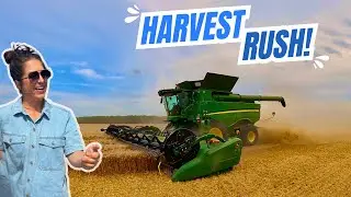 Tough Wheat & Rain! The Last of Wheat Harvest 2024!
