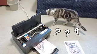 プリンタのフタを開けて印刷したら猫がこうなりました