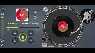 BLUE MINK Another Without You Day