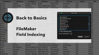 February, 2023 FileMaker STL Meetup: "Back to Basics - Field Indexing"