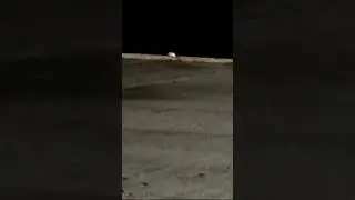Что это ???